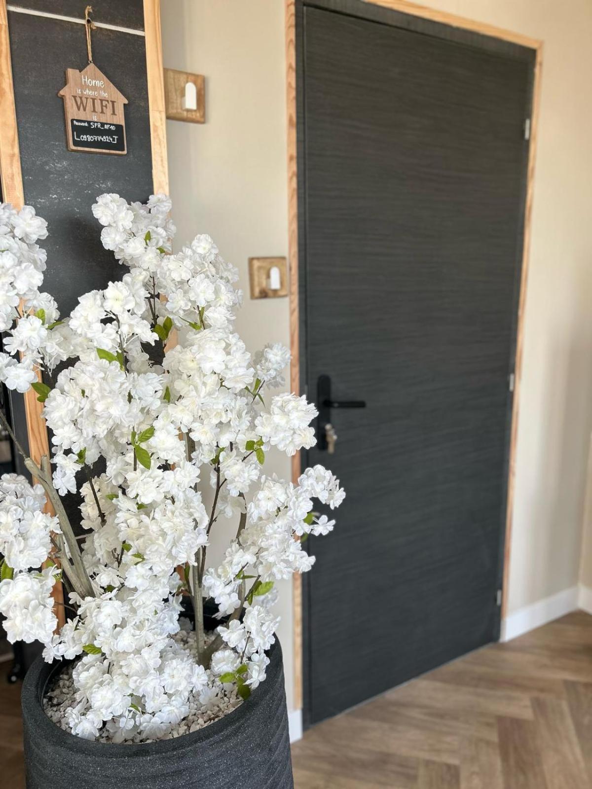 L'Instant Bed & Breakfast Cayeux-sur-Mer Dış mekan fotoğraf